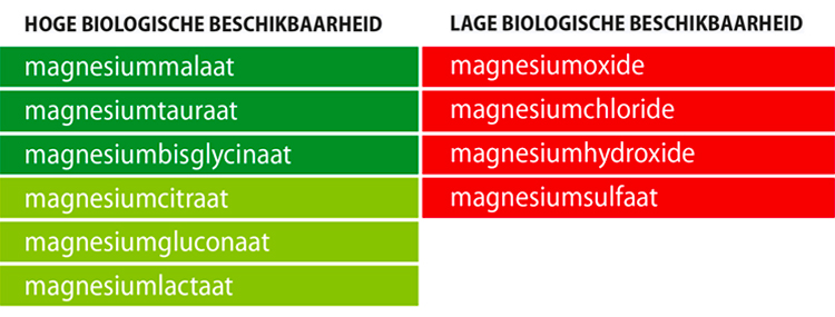 Opneembaarheid magnesium vormen